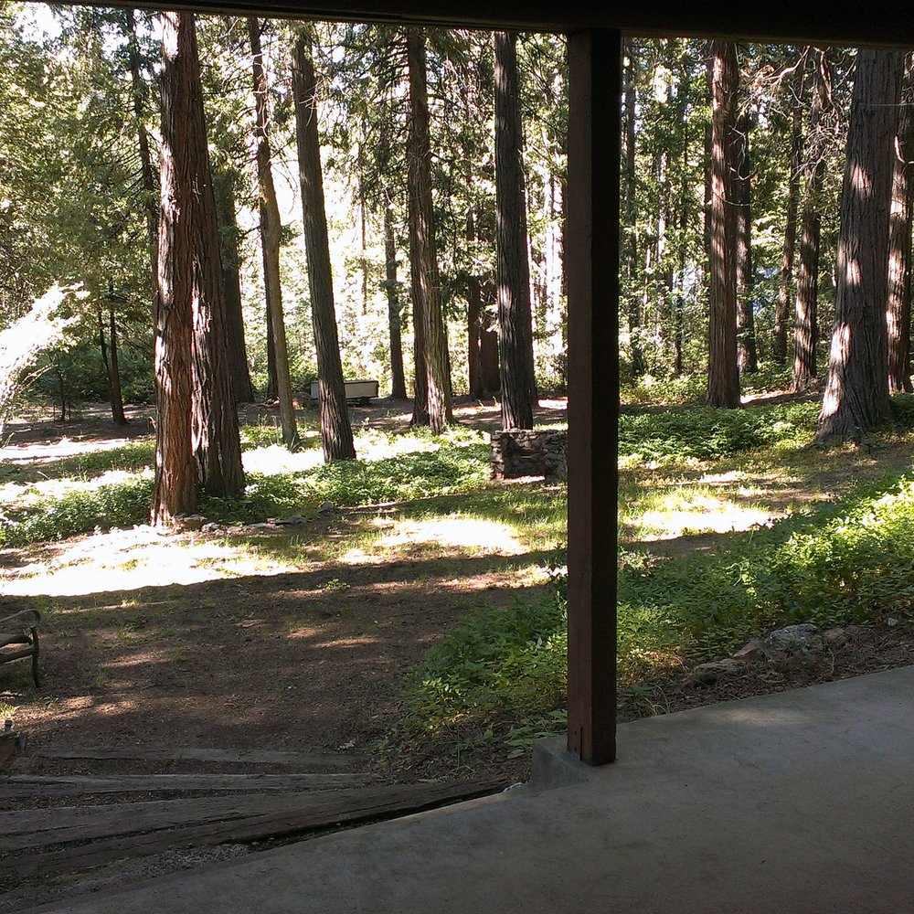Bear's Lair - View from back patio onto "the forest." Our 4 year old loved running up and down the paths hunting for dinosaurs! - Hotels Near Me - Arnold, California Bear's Lair - View from back patio onto "the forest." Our 4 year old loved running up and down the paths hunting for dinosaurs! - Hotels Near Me - Arnold, California