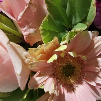 Carina Floral - Wedding Planning Near Me - Covina, California