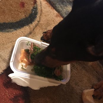 Kenzo Sushi - This is my dog eating the disgusting undercooked/Raw meat they have as an appetizer. - Japanese Near Me - Buford, Georgia