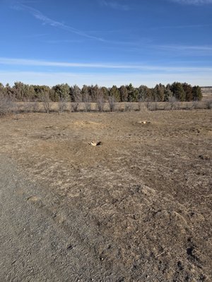 Cherry Creek State Park by null