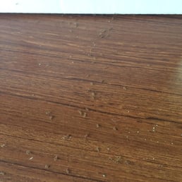 Ants all over table
