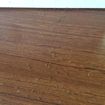Comfort Inn & Suites - Ants all over table - Hotels Near Me - Shepherdsville, Kentucky