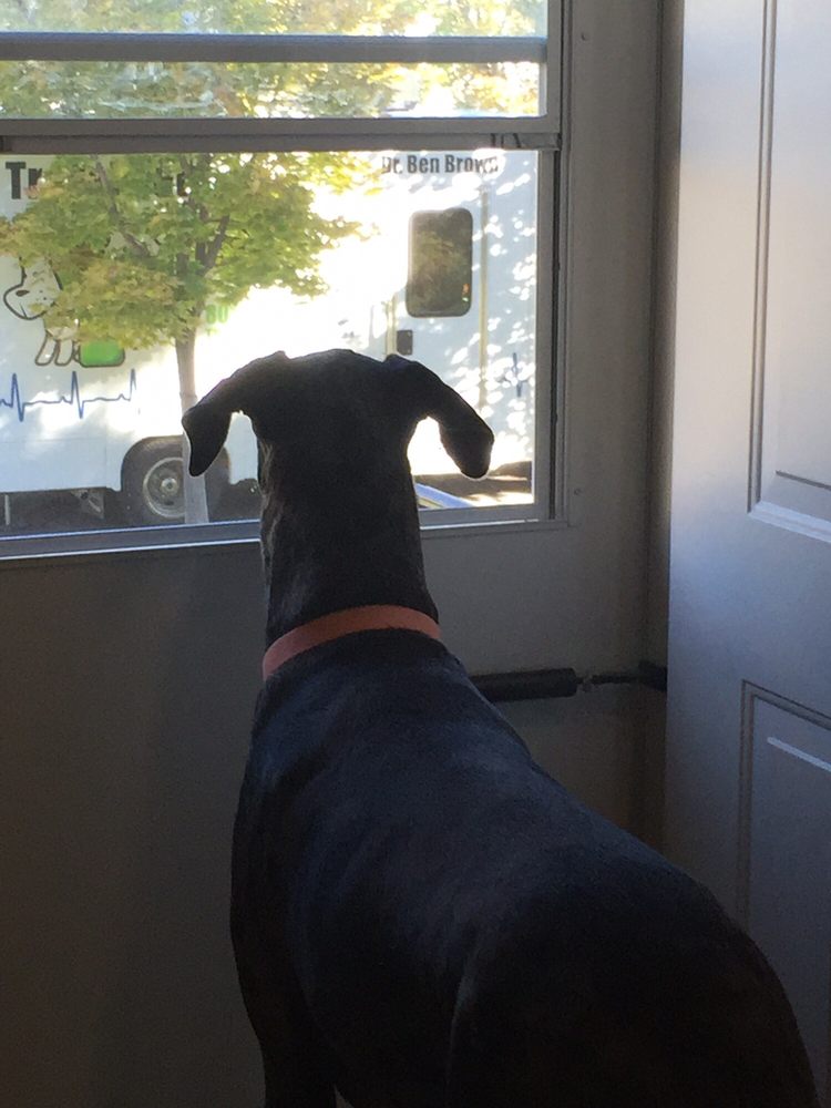 THE TRAVEL VET Updated October 2024 Farmington, Utah