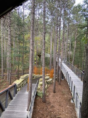 Dow Gardens and the Whiting Forest of Dow Gardens by null