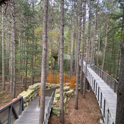Whiting Forest of Dow Gardens in Midland gift card