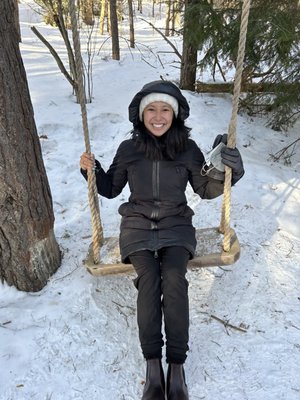 The Wild Center by null