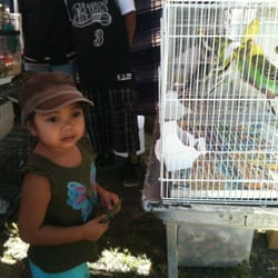 West Wind Solano Swap Meet
