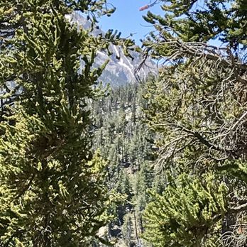 Bristlecone Trail - A sneak peek of snowfall - Hiking Near Me - Mount Charleston, Nevada