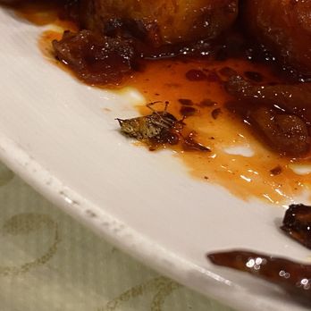 Great Wall Cuisine - Dim Sum Near Me - Phoenix, Arizona