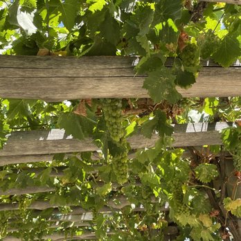 Le Vigne Winery - Wineries Near Me - Paso Robles, California Le Vigne Winery - Wineries Near Me - Paso Robles, California