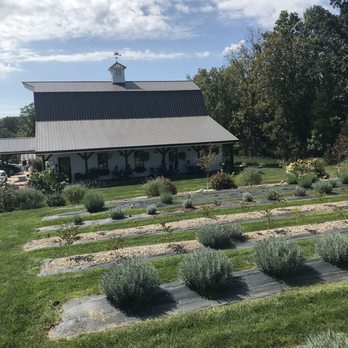 Long Row Lavender - Farms Near Me - Wright City, Missouri