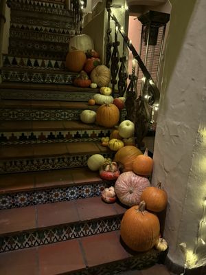 Little Napoli by null