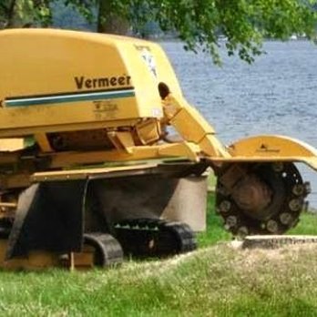 The Tree Doctor - Tree Services Near Me - Urbandale, Iowa
