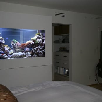 Doc Aquarium - Here is a double sided view  wall tank above the tub in the bathroom. - Aquarium Services Near Me