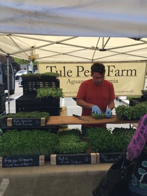 Murrieta Farmer’s Market by null