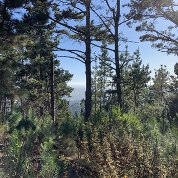 Jacks Peak County Park - Parks Near Me - Monterey, California