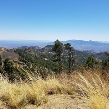 Mount Lemmon - Hiking Near Me - Tucson, Arizona Mount Lemmon - Hiking Near Me - Tucson, Arizona