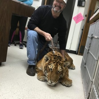 Danner Veterinary Hospital - All Creatures Veterinary Hospital - Veterinarians Near Me - Tulsa, Oklahoma