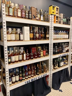 The Wise Old Dog by null