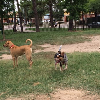 Tanglewood Park - Good times at the bark park - Dog Parks Near Me - Houston, Texas