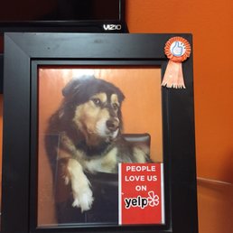 Love how the owner has a photo of his dog Oso (Bear) in the waiting room.  His dog is so sweet and the owner is so nice and helpful