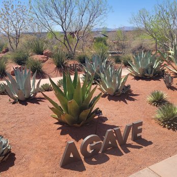 Red Hills Desert Garden - Botanical Gardens Near Me - St. George, Utah Red Hills Desert Garden - Botanical Gardens Near Me - St. George, Utah