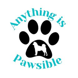 Cara's Canine Training