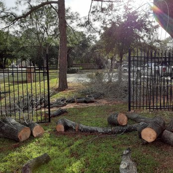 Third Coast Outdoors - a tree that has been cut down - Landscaping Near Me Third Coast Outdoors - a tree that has been cut down - Landscaping Near Me