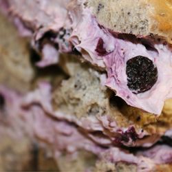 Abraham's Bagels