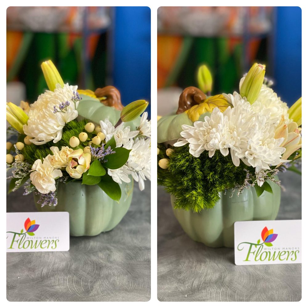 WILTON MANORS FLOWERS 143 Photos & 14 Reviews 2605 N Dixie Hwy