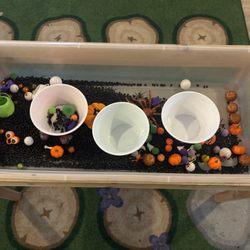 World of Wonders Preschool
