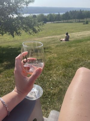 Damiani Wine Cellars by null