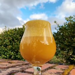 Iron Alley Saloon - Pineapple Fruit Whip Sour