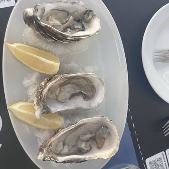 Baixamar - Oysters - Seafood Near Me - Lisbon, 11 Baixamar - Oysters - Seafood Near Me - Lisbon, 11