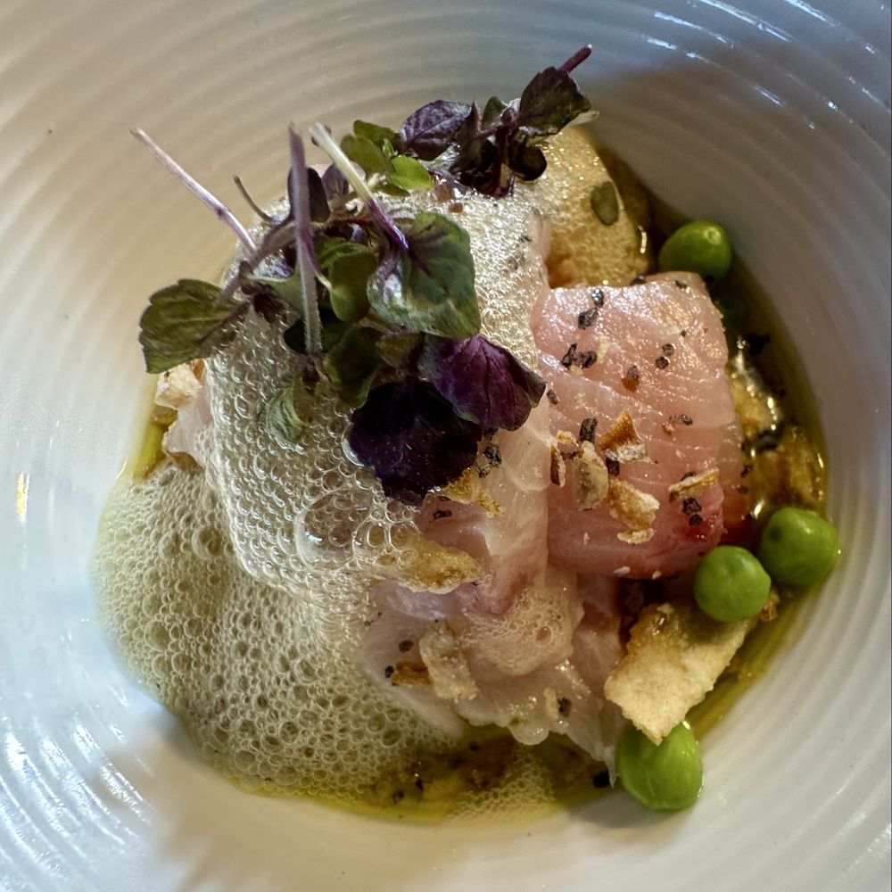 Little Pearl - Hamachi Crudo - New American Near Me - Key West, Florida