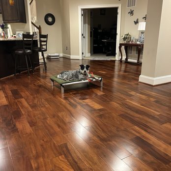 Canine Karma Training - Madhav in Place at 7 months of age!! - Pet Training Near Me Canine Karma Training - Madhav in Place at 7 months of age!! - Pet Training Near Me