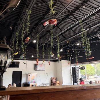 Viva La Vida - Patio - Mexican Near Me - Opelika, Alabama Viva La Vida - Patio - Mexican Near Me - Opelika, Alabama