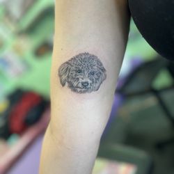 Gypsy Tattoo & Artist Collective