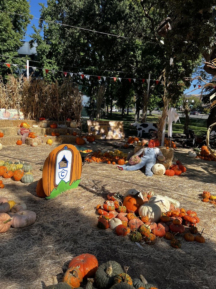 SHADELANDS RANCH PUMPKIN PATCH Updated October 2024 91 Photos & 78