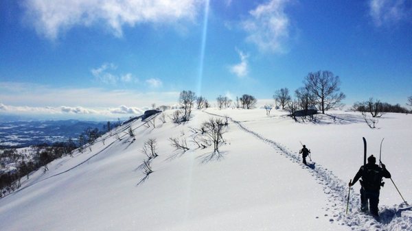 salty ski service by null