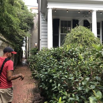 Pineapple Tour Group - Bus Tours Near Me - Charleston, South Carolina