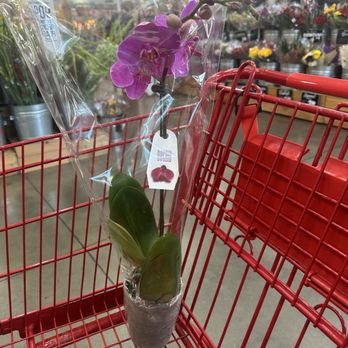 Trader Joe's - Grocery Near Me - Los Angeles, California