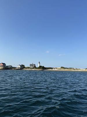 Hyannis Whale Watcher Cruises by null
