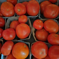 Animal Crackers Feed Store & Pet Supply - Fresh Amish grown tomatoes