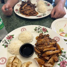 Chicken & Gyoza and chicken & beef Chicken & Gyoza and chicken & beef