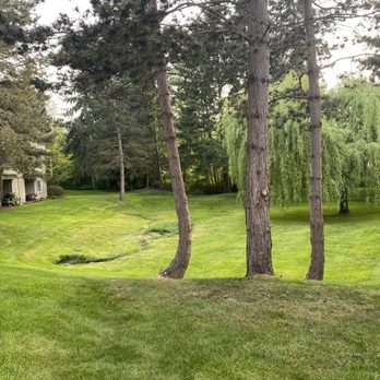 Canyon Springs - Apartments Near Me - Lynnwood, Washington Canyon Springs - Apartments Near Me - Lynnwood, Washington