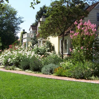 Z Greens - Tree Services Near Me Z Greens - Tree Services Near Me