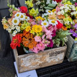 Williamsville Farmer's Market - June '2025.