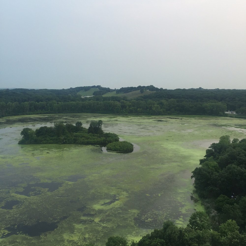 Normandale lake park. Normandale lake park.