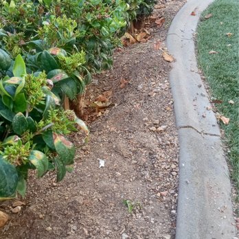 Alfredo Landscaping - Landscaping Near Me Alfredo Landscaping - Landscaping Near Me